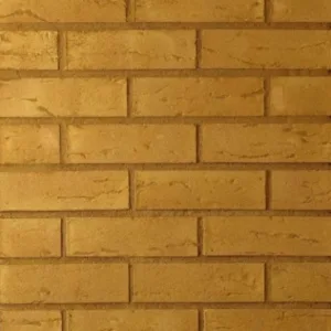 65mm WARM GOLDEN BUFF